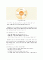 [보육학개론] 보육시설장의 역할과 시설장의 자질, 시설장의 리더십, 시설장의 4RL(Roles of Leadership) 리더십 7페이지