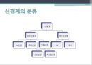 신경계환자 간호(신경계구조와기능,신체사정,의식수준의5단계,GCS,MMT,동공반응검사,진단검사,TCD,경동맥초음파검사,대상자간호,경련환자 간호, 무의식환자 간호,ICP상승환자 간호) 4페이지