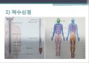 신경계환자 간호(신경계구조와기능,신체사정,의식수준의5단계,GCS,MMT,동공반응검사,진단검사,TCD,경동맥초음파검사,대상자간호,경련환자 간호, 무의식환자 간호,ICP상승환자 간호) 13페이지