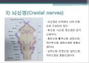 신경계환자 간호(신경계구조와기능,신체사정,의식수준의5단계,GCS,MMT,동공반응검사,진단검사,TCD,경동맥초음파검사,대상자간호,경련환자 간호, 무의식환자 간호,ICP상승환자 간호) 15페이지