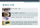 신경계환자 간호(신경계구조와기능,신체사정,의식수준의5단계,GCS,MMT,동공반응검사,진단검사,TCD,경동맥초음파검사,대상자간호,경련환자 간호, 무의식환자 간호,ICP상승환자 간호) 25페이지