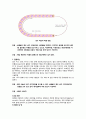 성의과학 최신 피임법의 종류 및 장단점 2페이지