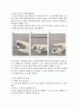 국가필수예방접종, 선택접종, 예방접종메뉴얼, 10페이지