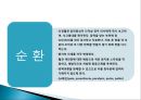 cast, splint 환자간호 (목적,종류,간호) 22페이지