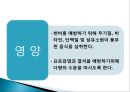cast, splint 환자간호 (목적,종류,간호) 26페이지