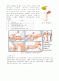 신경계 구조, 기능, 사정 17페이지