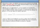 데이터의 표현  31페이지