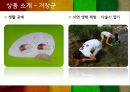 꿀맛투어 10페이지
