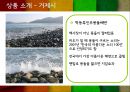 꿀맛투어 19페이지