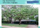 동남아의 장엄하고 화려한 왕궁 속으로 (태국 캄보디아 여행 계획서) 21페이지