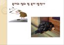 복지 패러다임의 변화 7페이지