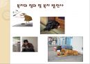복지 패러다임의 변화 9페이지