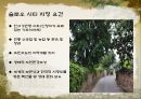 슬로우시티 5페이지