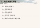 축소지향의 일본인  24페이지