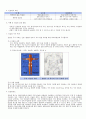 DM case study 10페이지