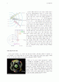 Bohr's Atomic Theory 2페이지