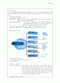 Isotopes 3페이지