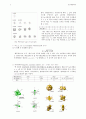Quantum Number 2페이지