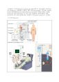 ARF & CRF (급성신부전 & 만성신부전) 37페이지