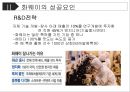 [화웨이 경영성공사례 PPT] 화웨이 기업분석과 경영전략 성공사례분석및 화웨이 향후전망연구 19페이지