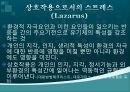 스트레스이론, 스트레스대응모형, 스트레스의 개념, 자극중심의 이론, 반응중심의 이론, 상호작용중심의 이론, stress, 스트레스의 원인, lazarus 스트레스 이론, 스트레스 8페이지