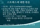 스트레스이론, 스트레스대응모형, 스트레스의 개념, 자극중심의 이론, 반응중심의 이론, 상호작용중심의 이론, stress, 스트레스의 원인, lazarus 스트레스 이론, 스트레스 14페이지