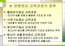 교육과정의 일반적 유형 17페이지