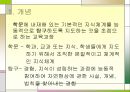 교육과정의 일반적 유형 28페이지