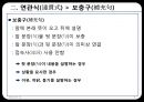 고대한어문법  -  제14장 복합구(復合句) 9페이지