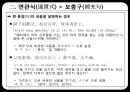 고대한어문법  -  제14장 복합구(復合句) 10페이지