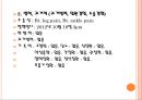 골절환자에 관한 사례연구  3페이지