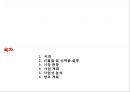 광분해성 왁스 사업계획서 2페이지
