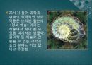 과학과 예술  15페이지
