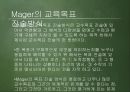 교육 목표론  33페이지