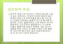 글쓰기와 기호학 15페이지