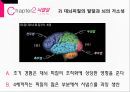영아기와 애착형성 15페이지