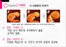 영아기와 애착형성 16페이지
