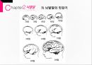영아기와 애착형성 17페이지