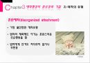 영아기와 애착형성 23페이지