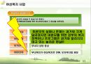 미혼모 가족 아동  18페이지