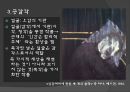 미학 오디세이 숭고와 시뮬라크르 [감각의 제국] 13페이지