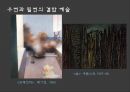 미학 오디세이 숭고와 시뮬라크르 [감각의 제국] 26페이지