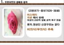 프로이트 마음의 신대륙을 발견하다 [프로이트 생애, 프로이트 업적, 프로이트 한계, 프로이트 유산] 13페이지