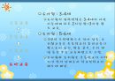 미국의 교육 7페이지