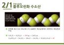구미 불산 유출사고  11페이지