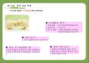 귀농 - 성공사례를 바탕으로 한 성공요인분석  22페이지