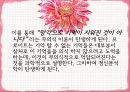 프로이트의 생애와 사상1 23페이지