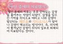 프로이트의 생애와 사상1 27페이지