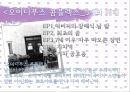 프로이트의 생애와 사상1 29페이지
