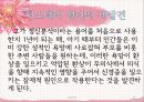 프로이트의 생애와 사상1 30페이지